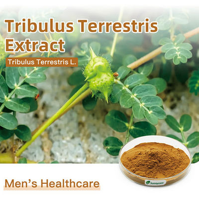 Fine Tribulus Terrestris Extract Powder Total Saponins 60% 90% 95% UV Tribulus P.E.