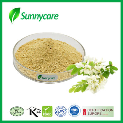 Sophora Japonica Flower Extract Rutin 95% NF11 Rutin Powder CAS 153-18-4 