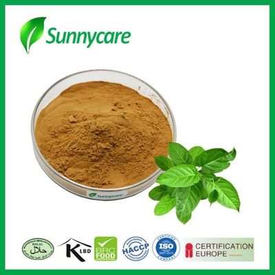 25% 75% Gymnemic Acid Plant Herbal Extract Gymnema Sylvestre Extract Powder