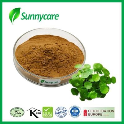 Asiaticosides 10% 90% Plant Herbal Extract Centella Asiatica Gotu Kola Extract Powder