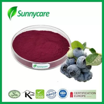 European Vaccinium Myrtillus Bilberry Fruit Extract 25% 36% Anthocyanins UV HPLC