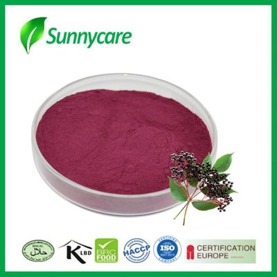 Extrait de jus de myrtille en poudre Sambucus nigra Colorant naturel pour aliments et boissons