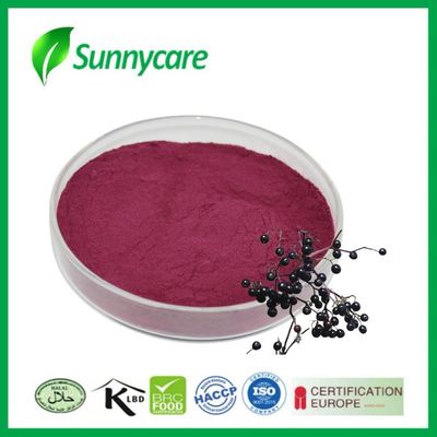 Poudre d'extrait de myrtille noire de Sambucus nigra pour l'immunité et la vitalité