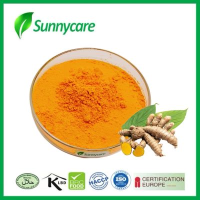 CAS 458-37-7 Extrait de curcuma jaune en poudre 95% de curcumine Extrait de curcuma longa
