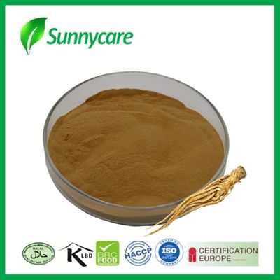 Dong Quai  Root Extract Powder Angelica sinensis Menstrual Relief Pharmaceutical Industry