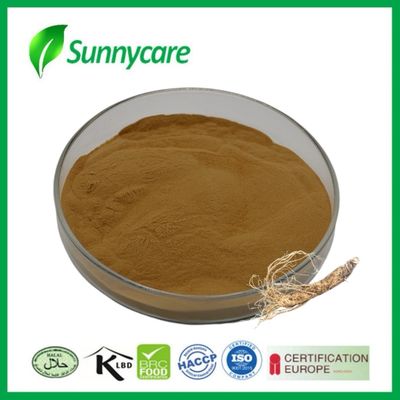 Poudre d'extrait de dong quai Angelica sinensis Polysaccharides favorisent la circulation sanguine
