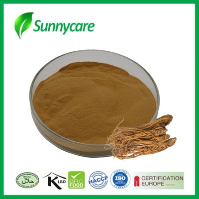 Extrait de Dong Quai Angelica sinensis Renforce l' immunité Aliments fonctionnels Boissons énergisantes