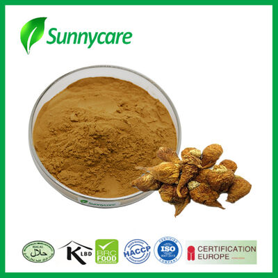Extrait de racine de maca en poudre 0,6% de macamides Riche en polysaccharides pour complément alimentaire