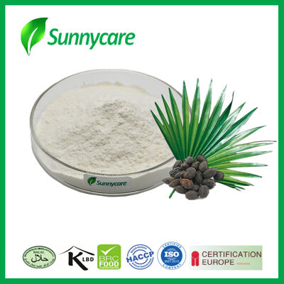 Extrait de palmier nain naturel Serenoa Repens matière première avec acides gras libres